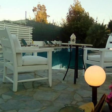 Sea Shell Apartments Pirgos Psilonerou Dış mekan fotoğraf